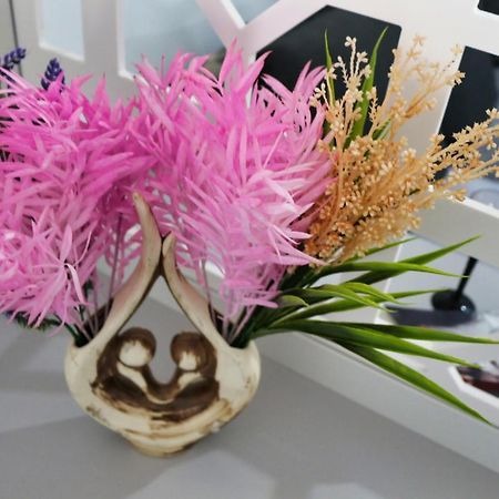 Cozy Flowers Studio - Fast Wi-Fi & Washer-Dryer Brasov Exterior photo