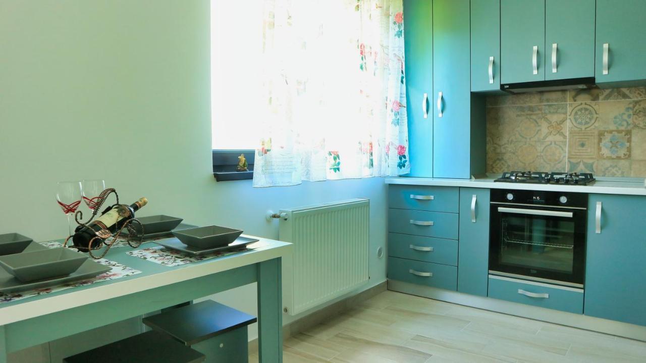 Cozy Flowers Studio - Fast Wi-Fi & Washer-Dryer Brasov Exterior photo